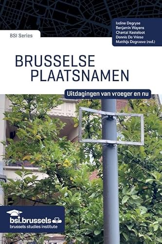 Brusselse plaatsnamen: Uitdagingen van vroeger en nu (BSI Series)