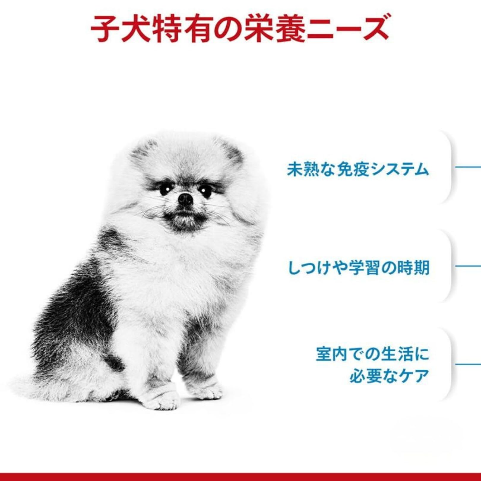 Amazon.co.jp: ロイヤルカナン SHN ミニ インドア パピー 室内で生活