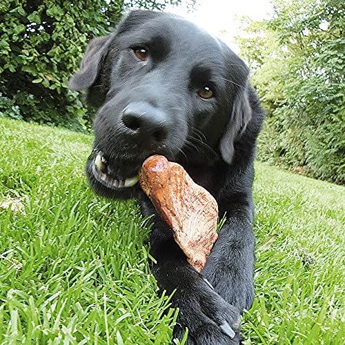 Schecker Kauwurzeln Gr: S - das Kauspielzeug - die Kauwurzeln für Hunde - Keine Kalorien - hypoallergen - natürlich - langlebig - 1 Stück - S - 125-250g