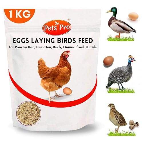 Pets Pro Poultry Birds Feed for Egg - Laying | Production Birds Food 1KG, for Desi Hens, Ducks, Guinea Fowl, Quails Birds Food Mix Seeds Feed