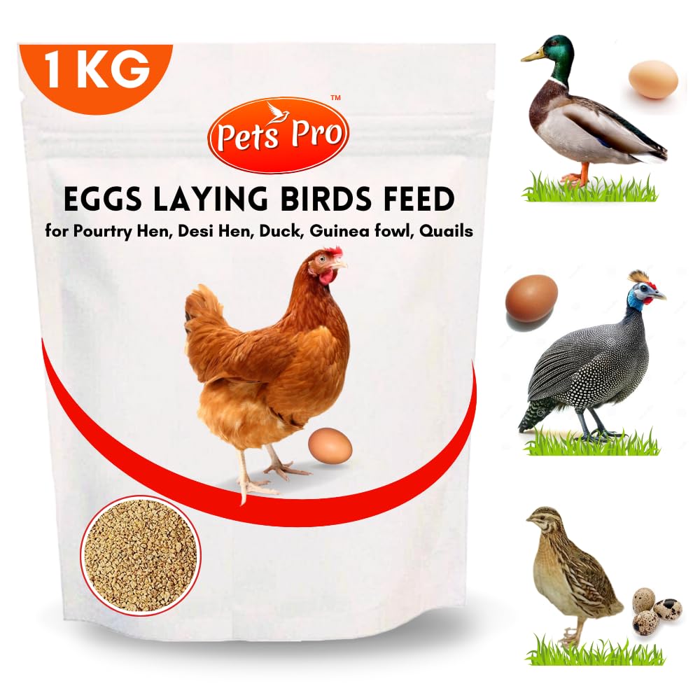 Poultry Birds Feed for Egg - Laying | Production Birds Food 1KG, for Desi Hens, Ducks, Guinea Fowl, Quails Birds Food Mix Seeds Feed-image-13