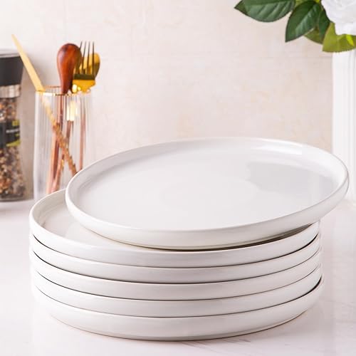 AmorArc Ceramic Plates Set of 6, 8.5 Inch Stoneware Plates set, Dessert, Salad, Appetizer, Small Dinner Plates, Microwave, Dishwasher Safe, Scratch Resistant Kitchen Plates-Reactive White