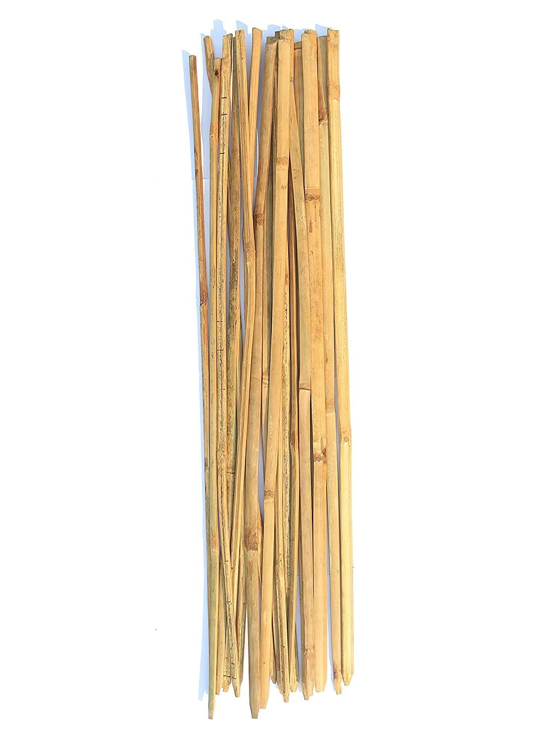 Garden Plants Support Bamboo Sticks for Stabilising Plants in The Garden Trellis Bamboo 3 Ft Natural Outdoor Indore Bamboo Sticks (Pack of 16) (B0CLZNSFYX) Amazon Price History, Amazon Price Tracker