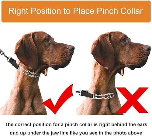 Miniatura 3 de CBBPET Collar de punta para perro, collar de entrenamiento ajustable para perros con hebilla de liberación rápida para perros pequeños, medianos y