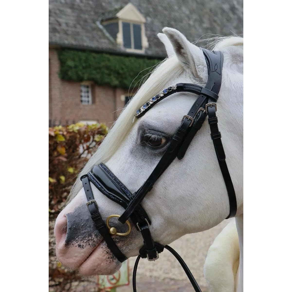Bridon poney HB adaptable pour éviter les frottements sur la muserolle