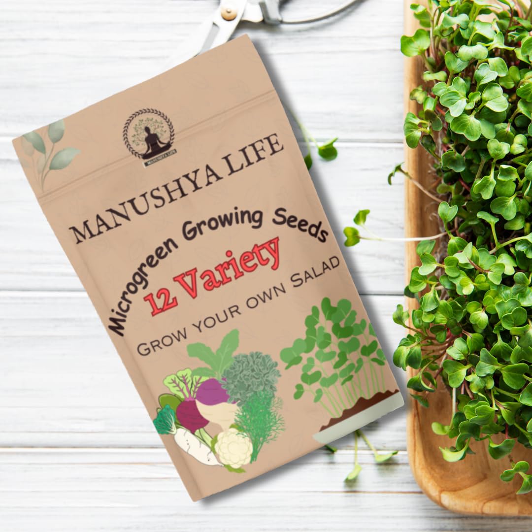Manushya Life | Easy Growing Microgreens Combo Seed Pack of 12 Varieties 300 Gm (Each 25 gm) | With growing Instruction | Grow your own Nutritional Salad (B0C8ZGK78Z) Amazon Price History, Amazon Price Tracker