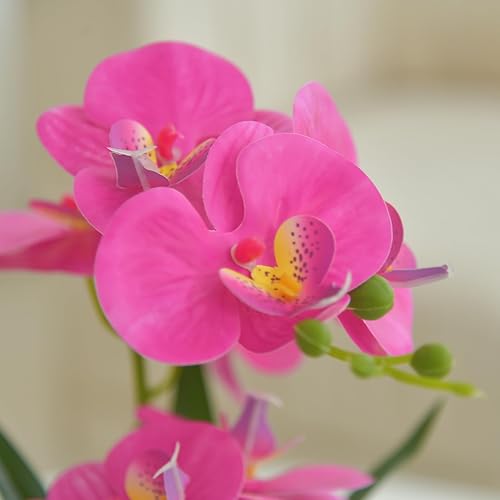 Vista 42 de Flores artificiales de orquídea de tacto real en maceta, flor falsa de Phalaenopsis con jarrón de cerámica blanca, arreglo de orquídeas sintéticas