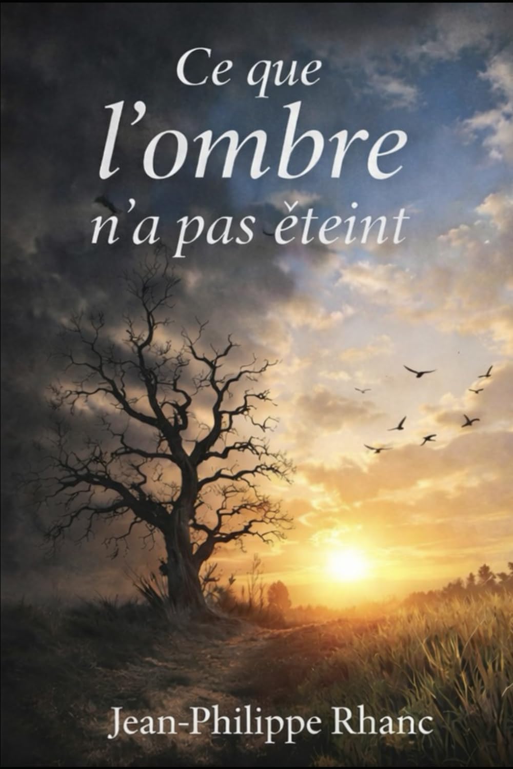 CE QUE L’OMBRE N’A PAS ÉTEINT