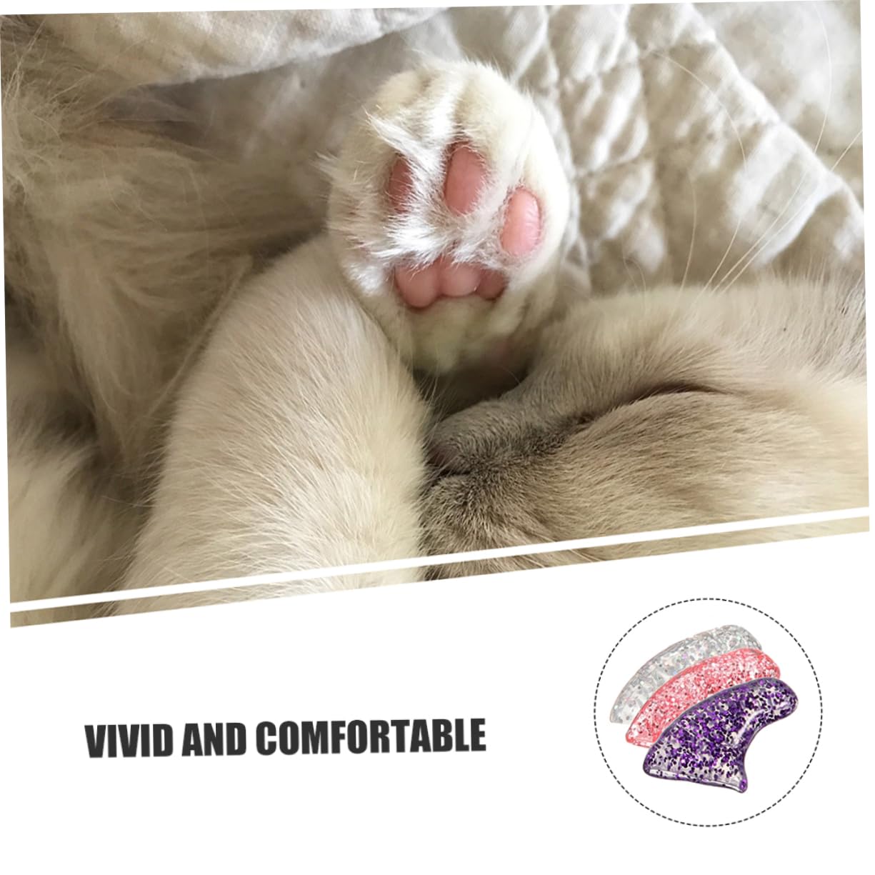 BESPORTBLE 300 Pcs Ensemble D'Ongles pour Animaux De Compagnie Capuchons pour Ongles De Chat Capuchons De Griffes Protège-Griffes De Chat Capuchons pour Chats Capuchons De Chaton Sûrs