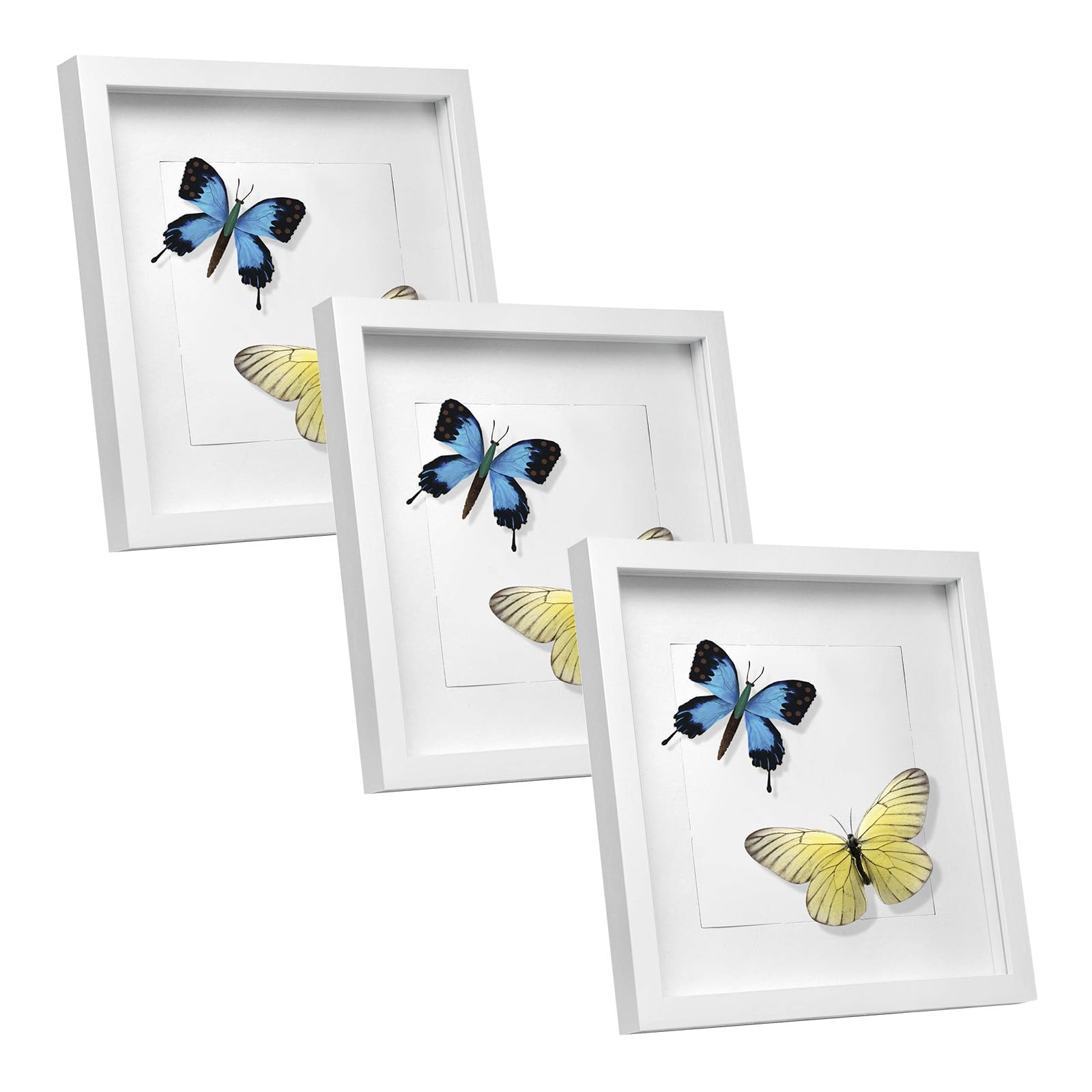 Cadre Photo en Bois 30x40cm Élégant Blanc | Style 3D Galerie