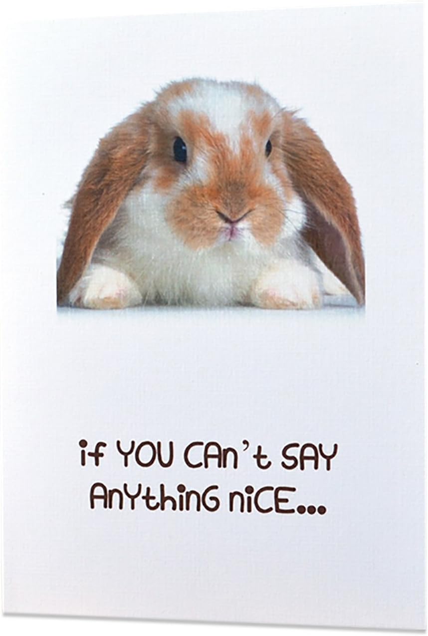 Funny Inappropriate Adult Sexy Greeting Cards - “If You Cant say Anything Nice…” - All Occasions - Excellent Quality Printing + 100% Linen