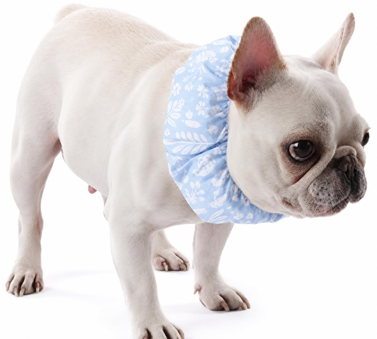 Amazon | PP&DD クールバンド 犬 保冷剤付き 夏に涼しいクールバンダナ