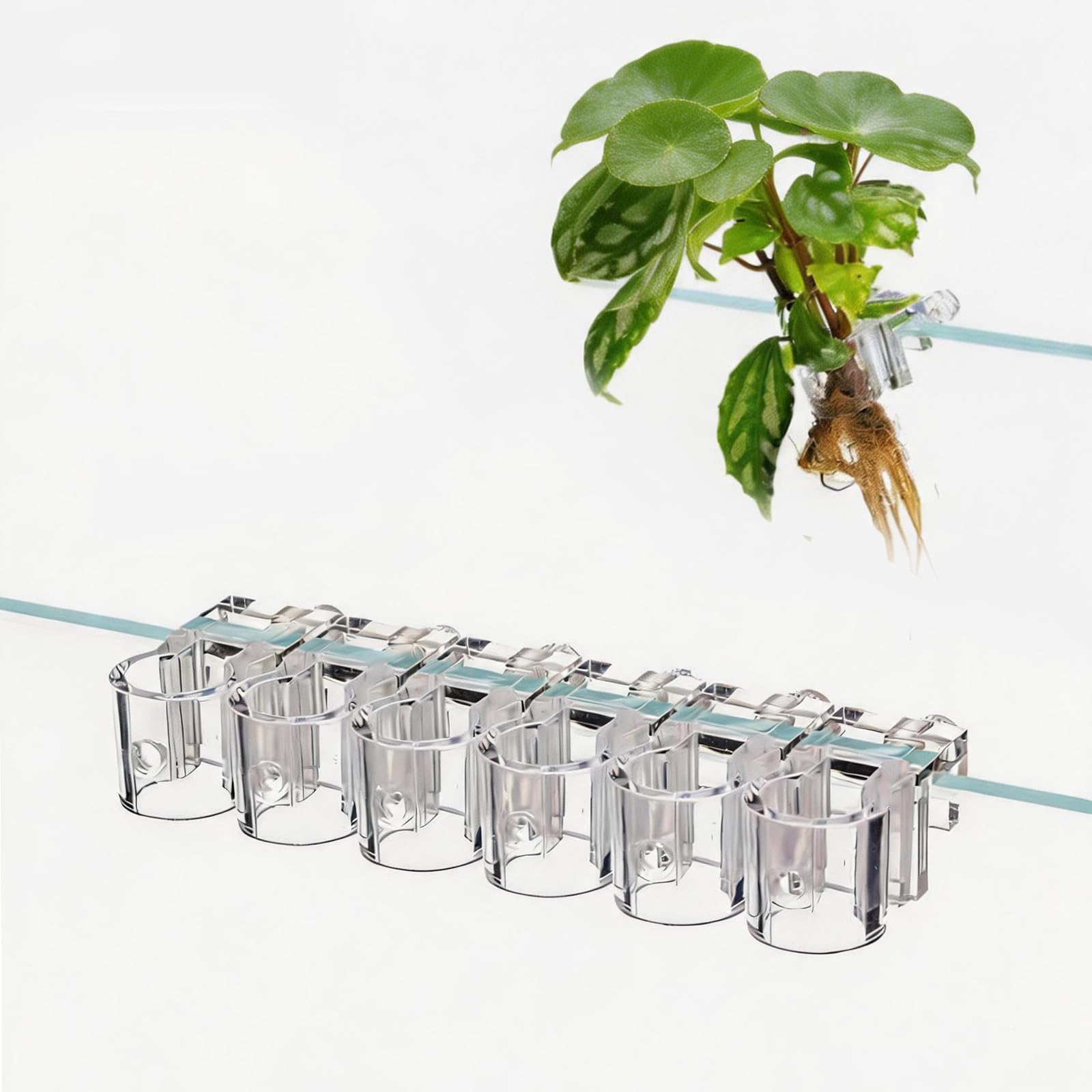 6Pcs Hanging Aquarium Plant Holder Transparent Fish Tank Plant Holder Clips – Easy Install Fits Glass up to 10 mm for Aquaponic Plants