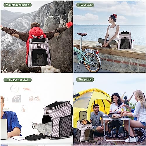 20% Off BAGLHER Mesh Pet Carrier Backpack for Cats & Dogs - Image 7