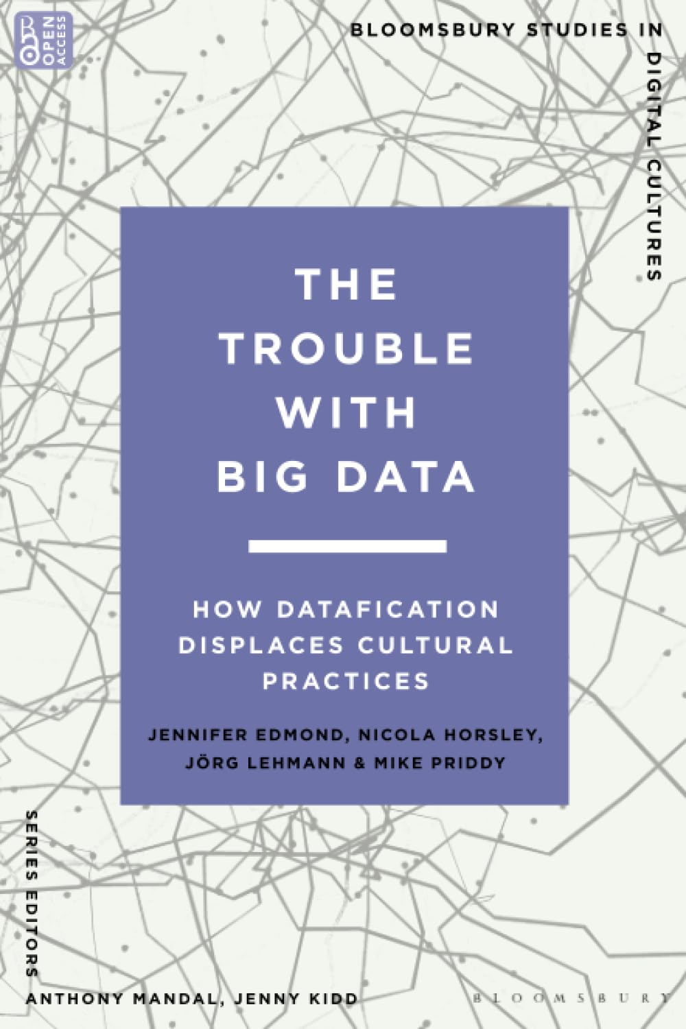 Trouble With Big Data