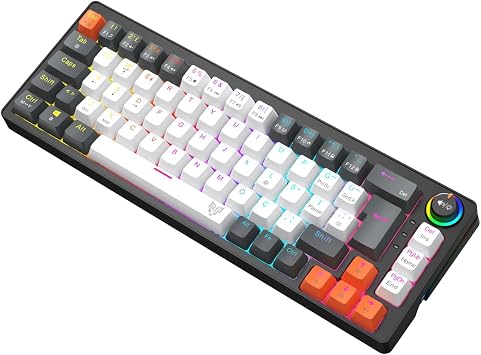 Blueforce Orbiter Rgb Mechanical Gaming Player Keyboard Red Switch Q TR
