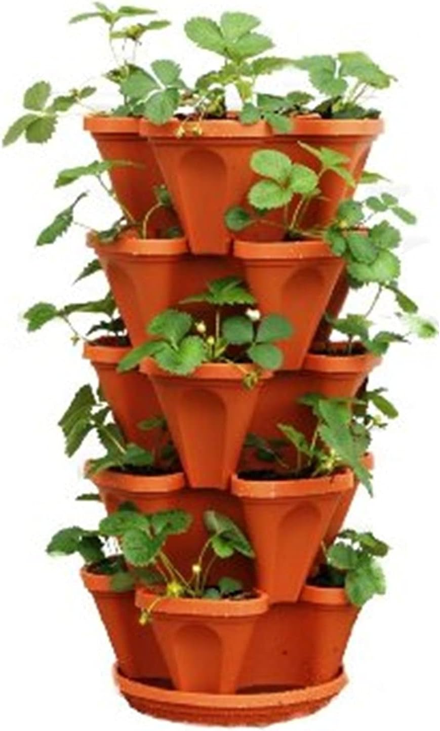 VGreen Garden Store Floor Pot (Brown) - Set of 7 (6 Pot + 1 Bottom Tray) + 1 Tray Extra