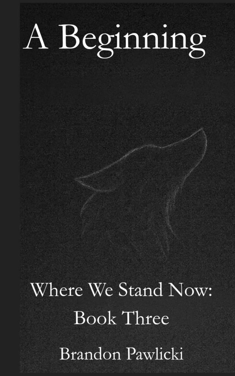 A Beginning: Where We Stand Now: Book Three (Where We Stand Now: A Series By Brandon Pawlicki)