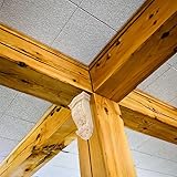 ULTECHNOVO B0F6M6S4JF lato 3