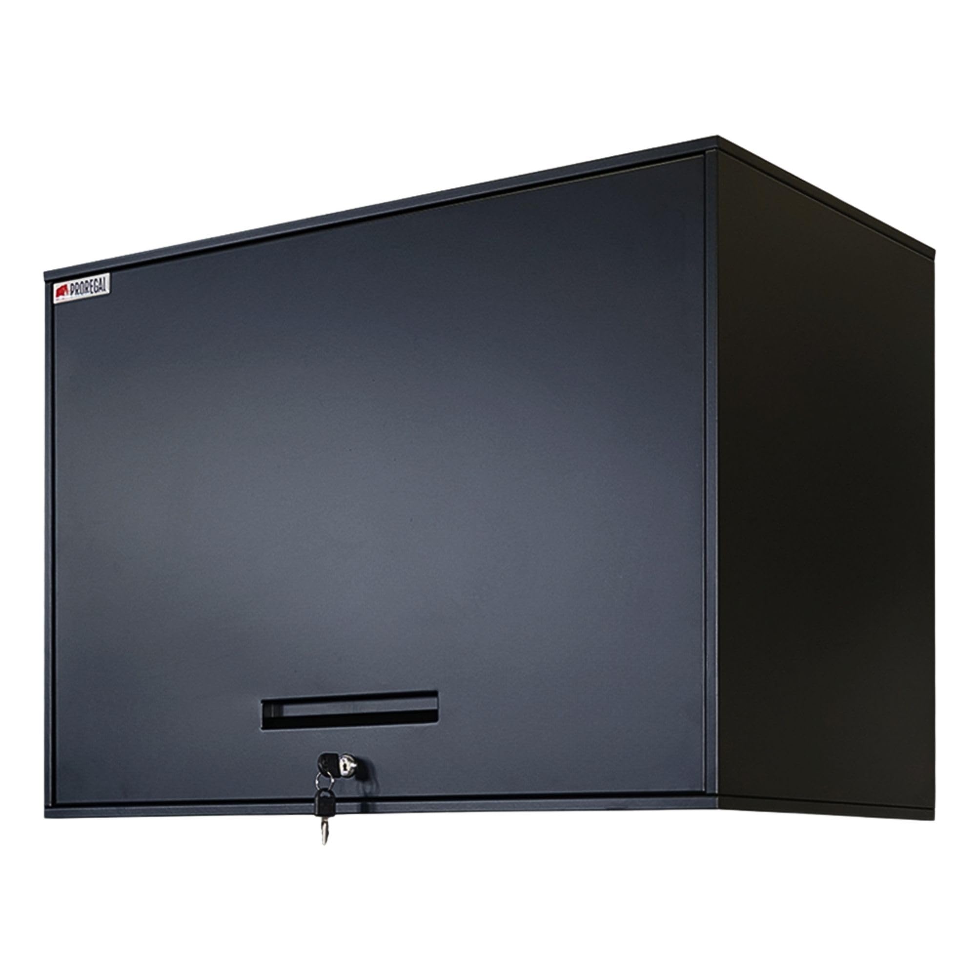 PROREGAL Armoire à Outils Elephant Murale verrouillable en métal Suspendue 55x80x40cm 2 Niveaux en Acier avec revêtement en Poudre Noire 40cm de Profondeur