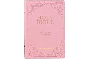 Pink Bible, NIV Edition - A Guided Journey Through God's Word