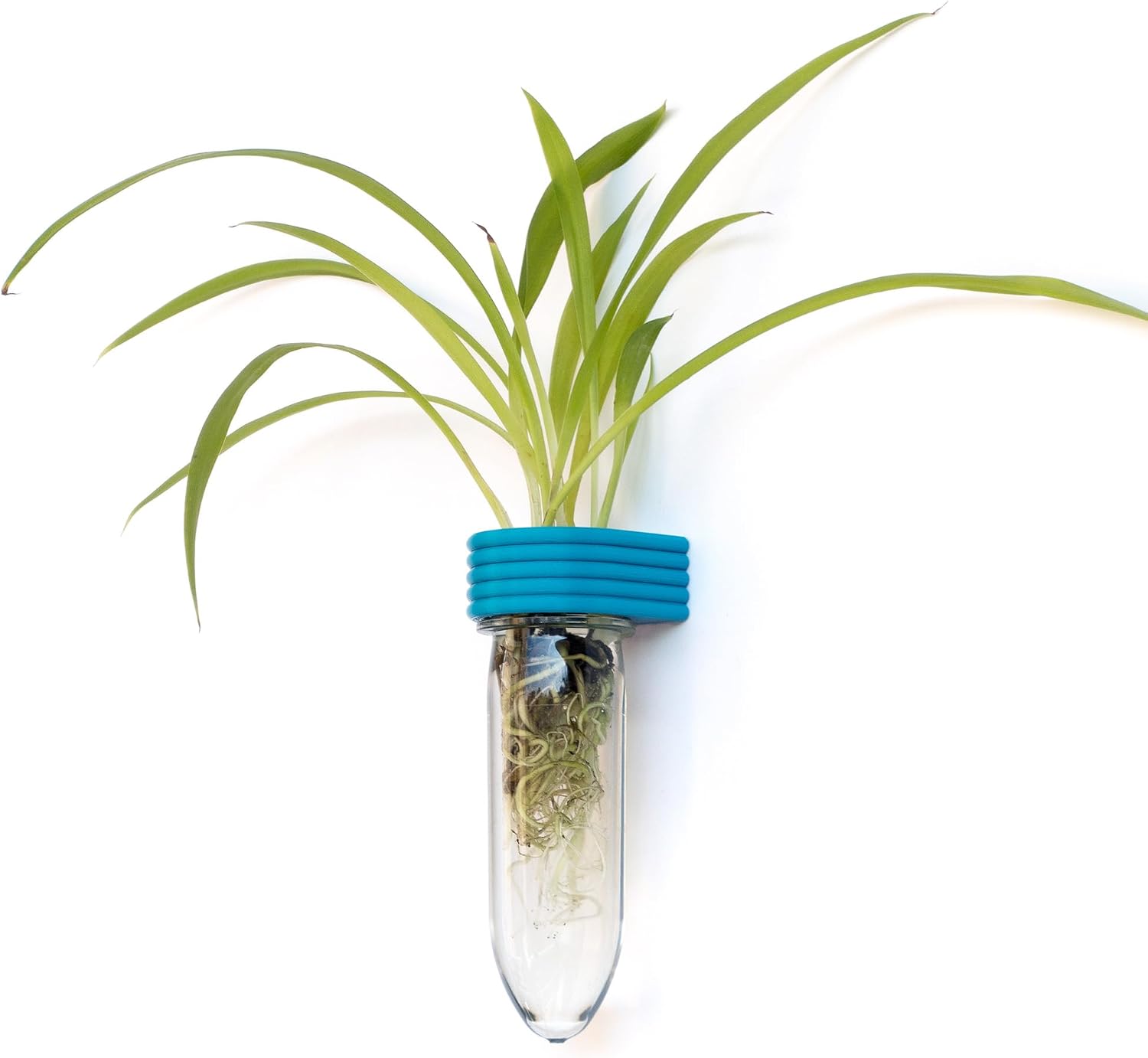 Propagation Station Wall Hanging Terrarium Upcycled 3D Printed Eco Friendly Unique Plant Lover Gift (Ocean)
