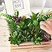 KUUQA 16 Pcs Mixed Artificial Succulent Flowers Plants Unpotted Decor Stems Faux Succulents Plants Bulk Assorted Picks for Home Decor Indoor Wall Garden DIY Decorations