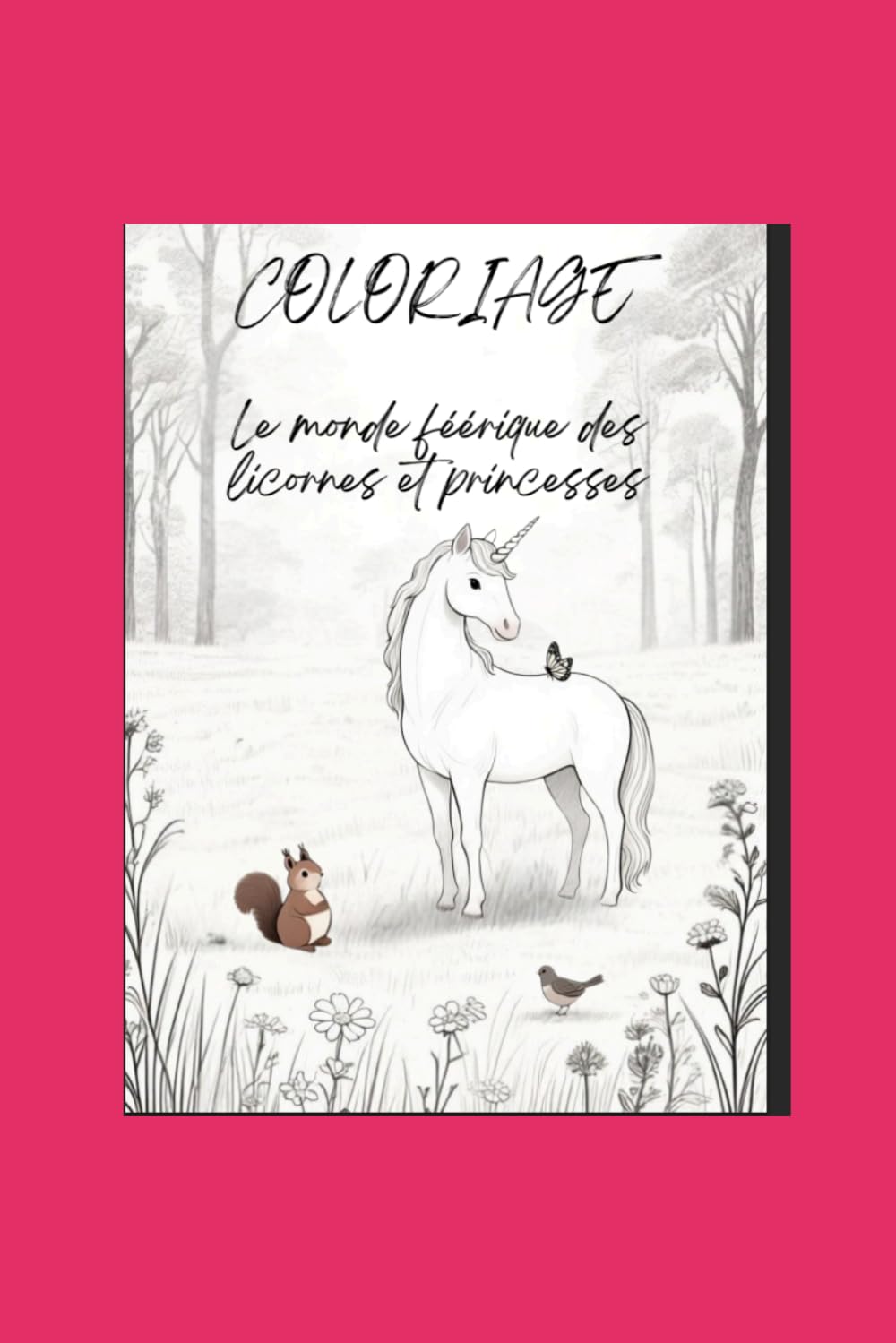 LIVRE DE COLORIAGE LICORNES ET PRINCESSES