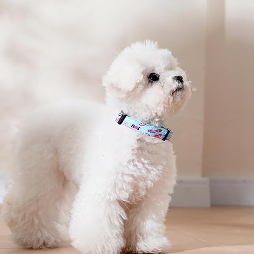 Miniatura 2 de HSIGIO - Collar de perro ajustable de nailon con soporte para Airtag impermeable y extraíble, con rastreador GPS ultrasuave para perros hembras