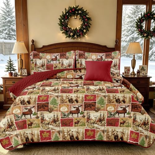 Dinjoy Christmas Quilts Queen Size, Rustic Patchwork Bedding Set