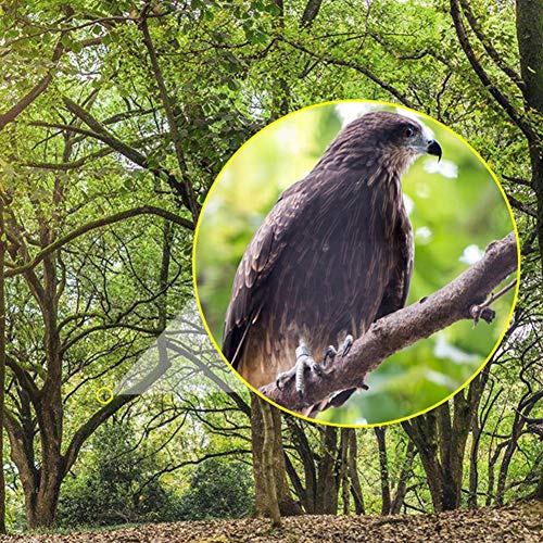 Telescópio de alta potência, equipamento de escalada portátil ao ar livre, telescópio binocular, tel