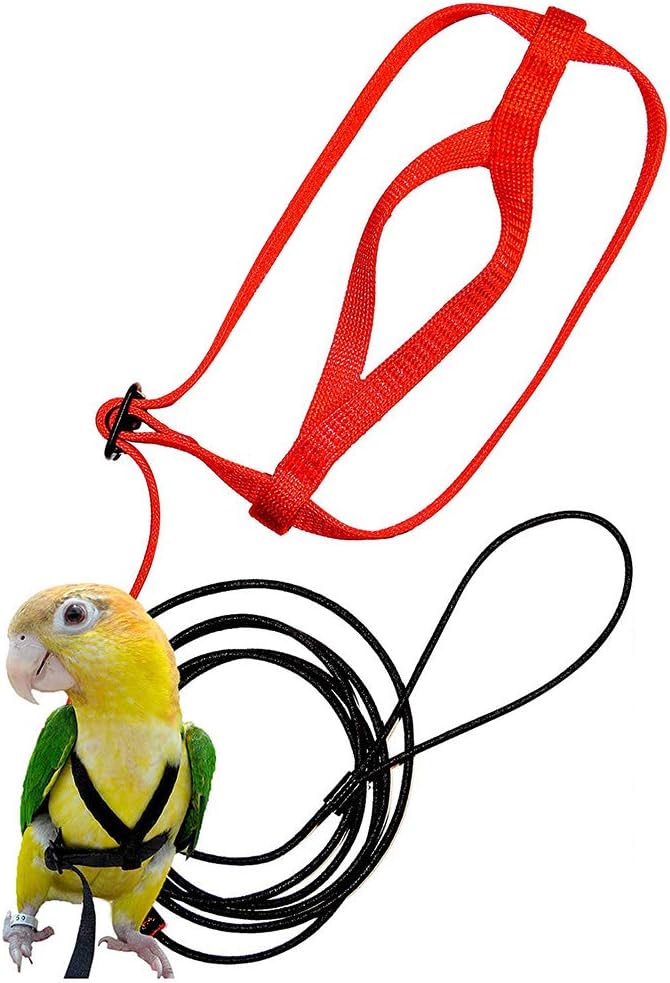 Pet Bird Harness and Leash Adjustable Flying Anti-bite Traction Rope Bird Training Outdoor Walk Carrying for Parakeet Cockatiel Reptile Lizar (XS)