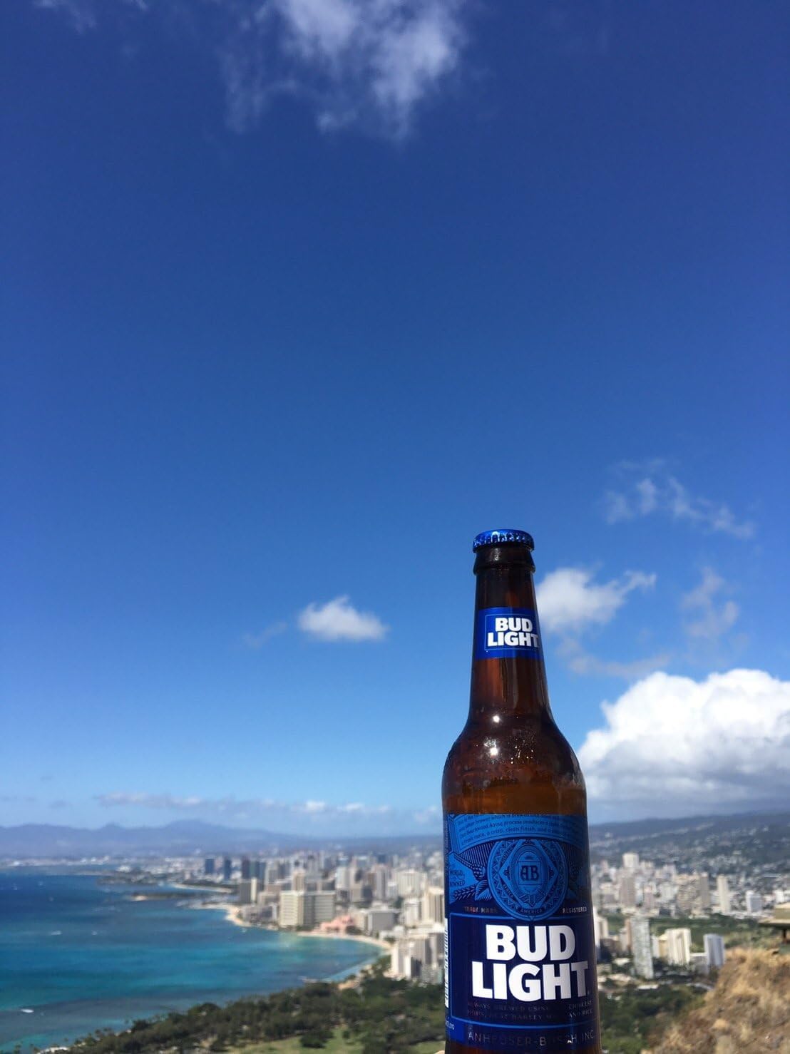 Amazon.co.jp: BUD LIGHT（バドライト) (6) : 食品・飲料・お酒