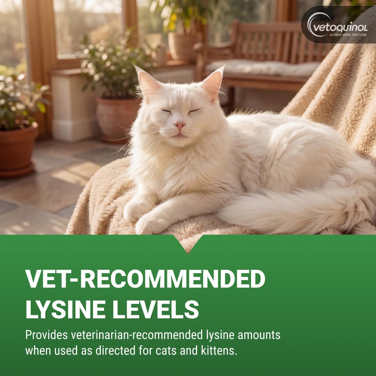 Vetoquinol Viralys, Lysine Powder for Cats and Kittens, 100 g — Amazon image 4