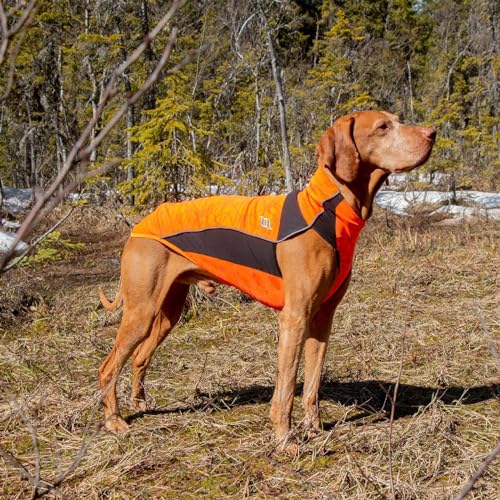 Back on Track Hundepullover Eddie reflektierend (60 cm)