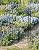 8 FT Metal Garden Arch with Gate, Elegant Wedding Archway for Ceremony Decor, Steel Arbor Trellis for Roses, Vines, and Climbing Plants, Perfect for Patio, Lawn, and Backyard, Black