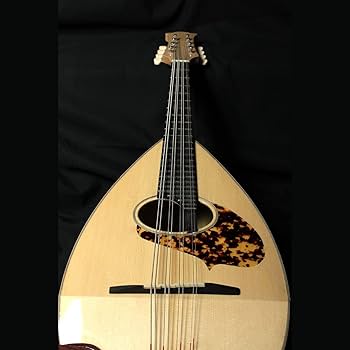 Amazon | Prestri Mandolin マンドリン初心者シンプル4点セット