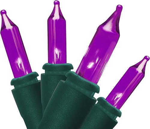 Brite Star 50 Lt Designer Series Mini luces, color morado, cable verde