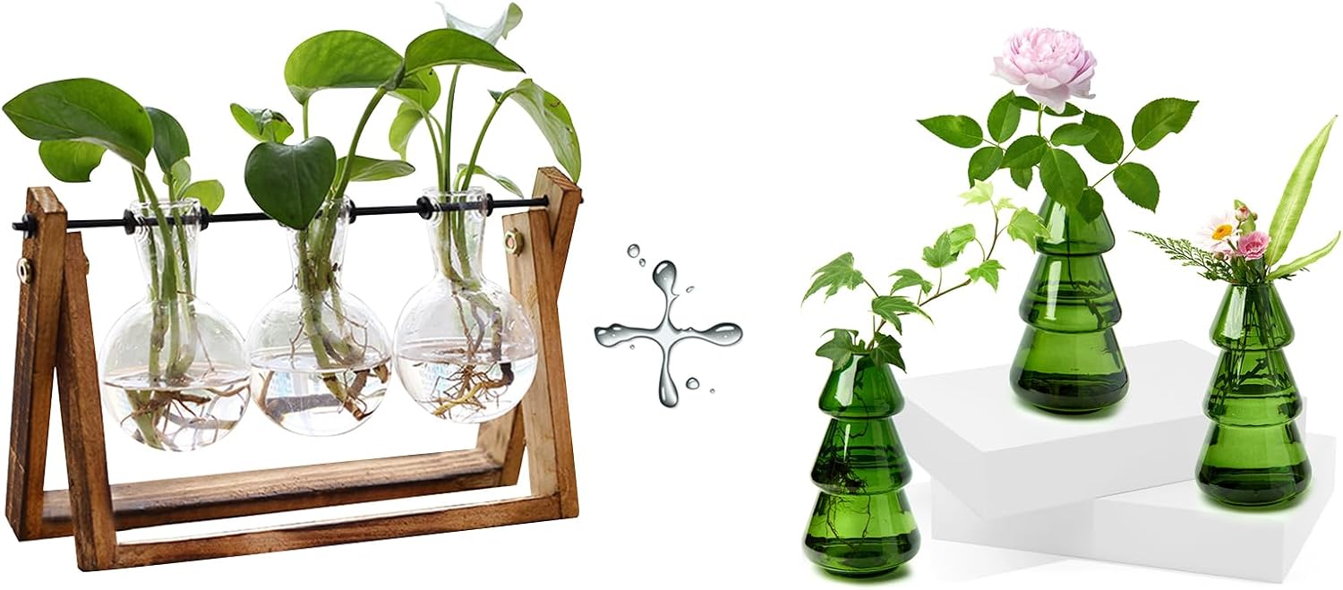 XXXFLOWER 3 Bulb Vase+3 Tree-Shaped Glass Planter
