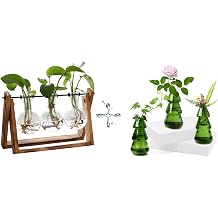 FLOWER 3 Bulb Vase+3 Tree-Shaped Glass Planter