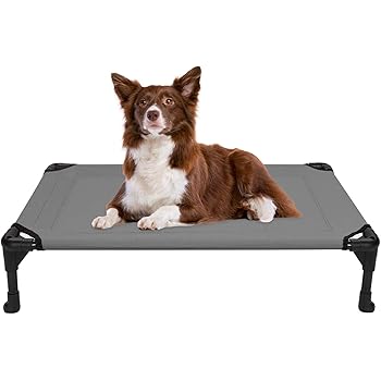pet cot near me