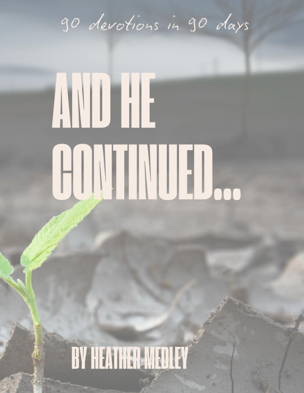 And He Continued...: A 90-Day Devotional for Recovery