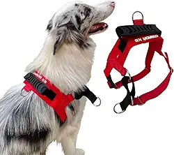 Coleira Peitoral Anti-puxão para Cães Fortes Tamanho M - Canadá K9 (vermelho)