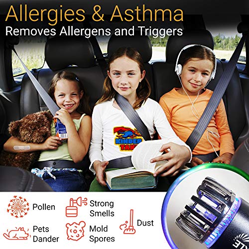Car Air Purifier Ionizer - 12V Plug-in Ionic Anti-Microbial Car Deodorizer with Dual USB Charger - Smoke Smell, Pet and Food Odors, Allergens, Viruses Eliminator for Car (Matte Black) - Image 4