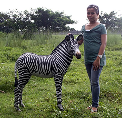 Amazon | FRPアニマルオブジェ シマウマの赤ちゃん 置物 動物 縞馬