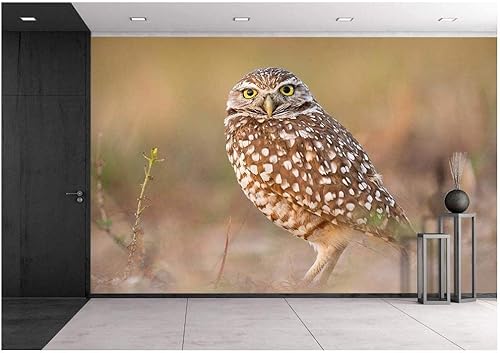 Miniatura 30 de wall26 - Coche rojo vintage en la calle - Mural de pared extraíble | Papel tapiz autoadhesivo grande - 66x96 pulgadas obra de arte 22,obra de arte