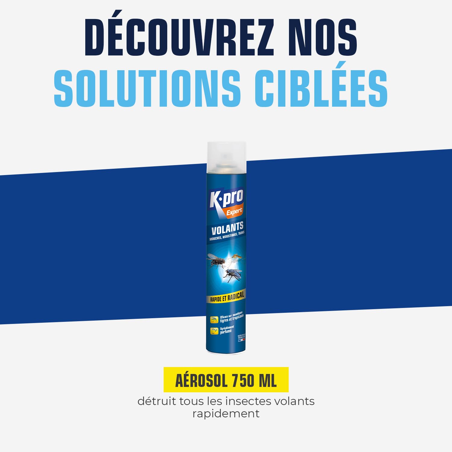 K.PRO Aérosol spécial insectes volants 750ml
