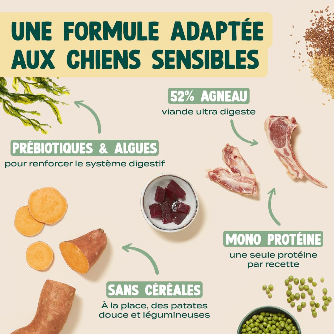 Franklin – Croquettes pour Chien Sensible – Gamme Protéinée – avec 52% d'agneau – sans céréales – Mono-protéine – Taille 13 mm – 6 kg
