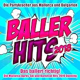 Dicke Titten, Kartoffelsalat (Party-Mix)