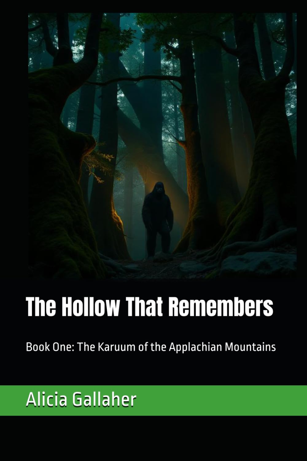 The Hollow That Remembers: Book One: The Karuum of the Applachian Mountains: 1 (The Karuum Chronicles)